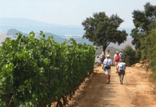 Spain-Galicia-Camino - French Route F3